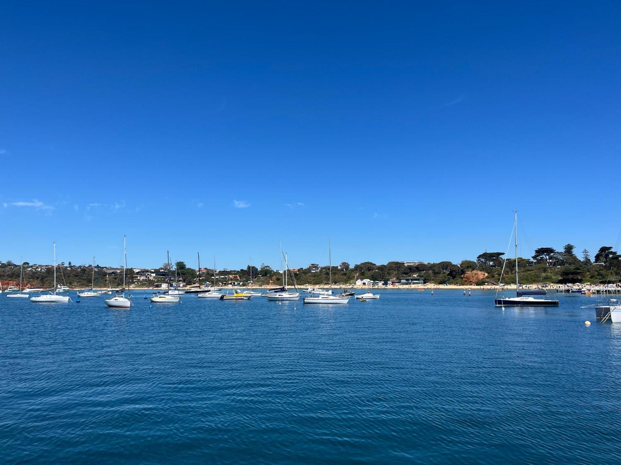 מאונט מארתה Charlie Sweet Home At Mornington Peninsula מראה חיצוני תמונה